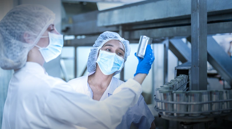 landscape verificare conserve